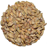 Honey Malt | Gambrinus
